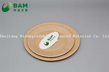 Fully Biodegradable Dividing Compostable Sugarcane Plant Fiber Bakery Takeaway Food Package Round Plate for Cake