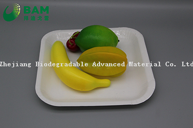 Fully Biodegradable Dividing Compostable Sugarcane Plant Fiber Bakery Takeaway Food Package Square Plate for Dessert Cake