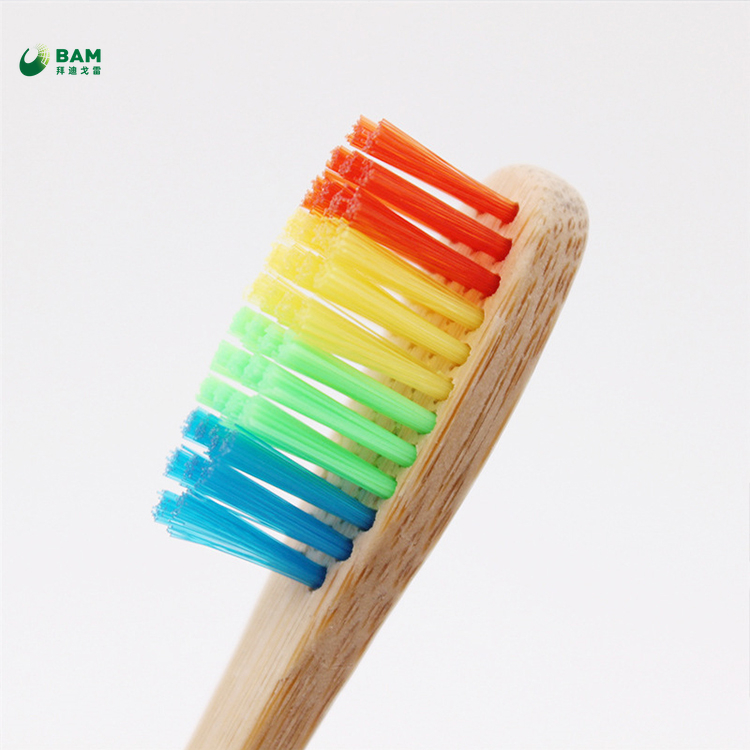 100% Biodegradable Natural Eco-Friendly House Colorful Soft Adult Handle Toothbrush
