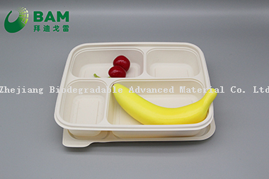100% Biodegradable 4 Compartment Disposable Compostable Corn Starch Takeaway Canteen Food Containers for Fast-Food