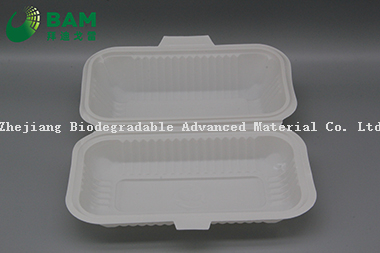 Fully Biodegradable Multi Compartment Disposable Plastic Food Container Compostable Sugarcane Plant Fiber Takw-Away Food Containers