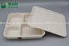 100% Biodegradable 5 Compartment Disposable Compostable Corn Starch Takeaway Canteen Food Containers for Fast-Food